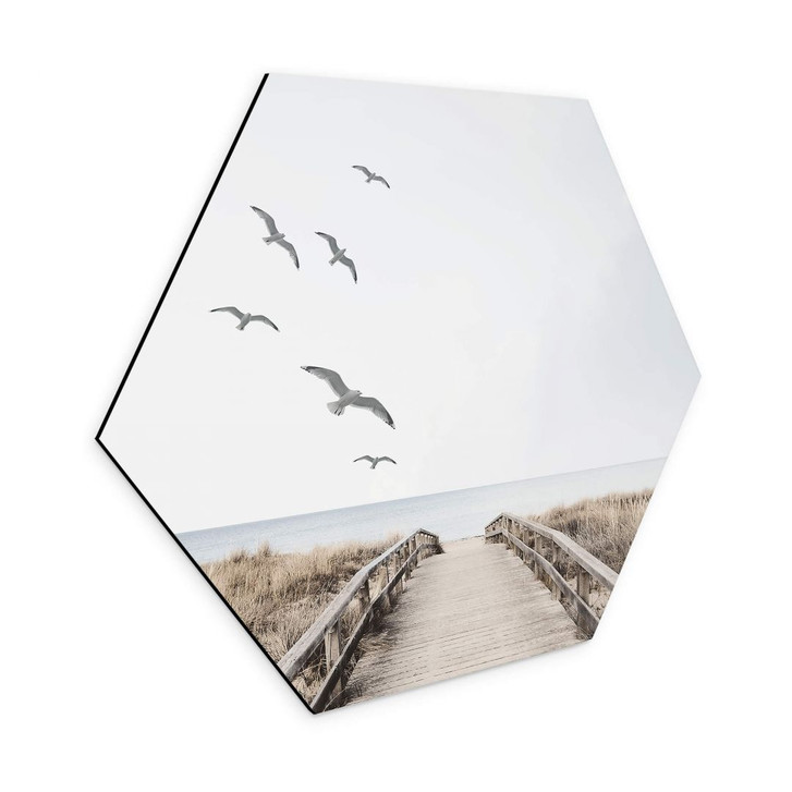 Hexagon Wandbild Blick auf die Ostsee - Alu-Dibond - WA354693