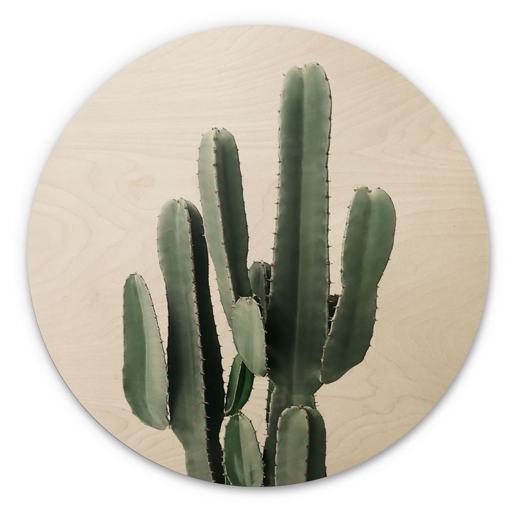 Holzbild Kaktus Pflanze - Sisi & Seb - Rund - WA425478
