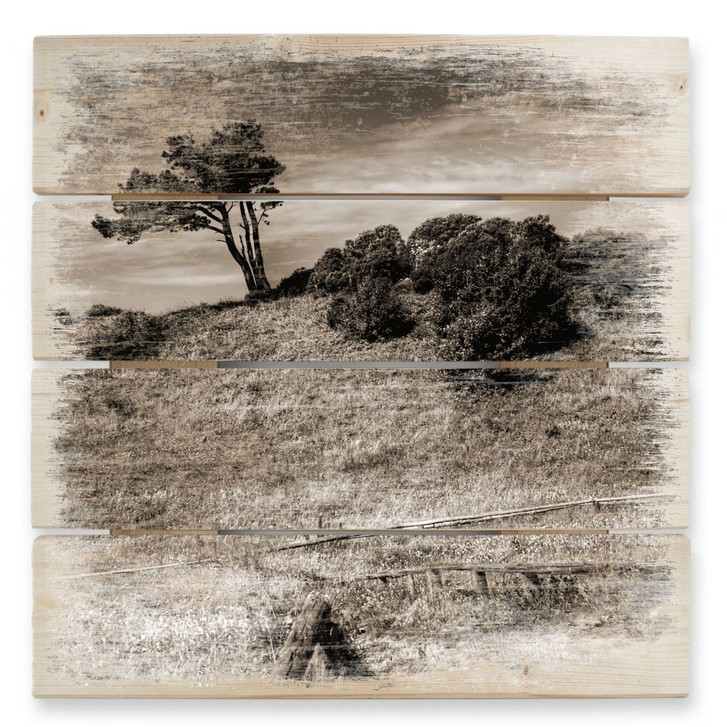 Holzbild Landschaft auf Hiddensee - 40 x 41.5 cm - WA132168
