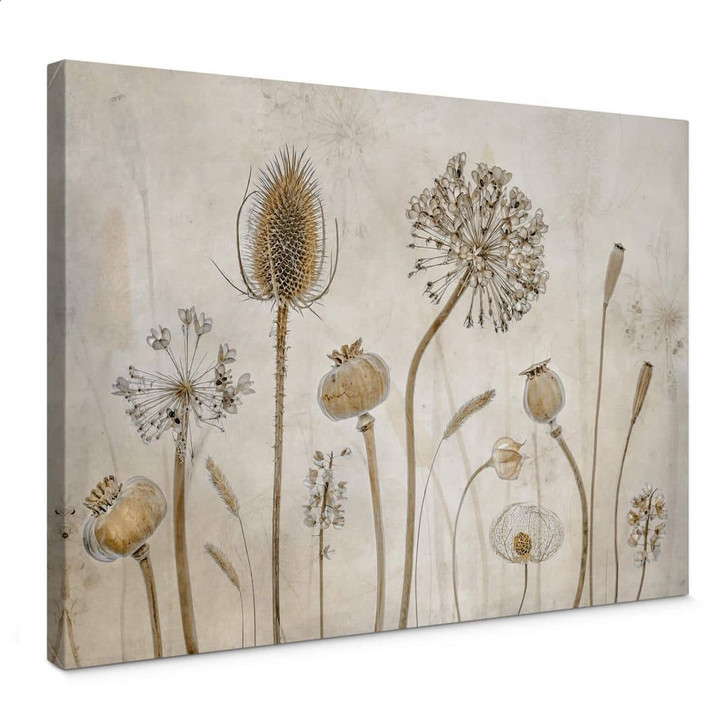 Leinwandbild Disher - Trockenblumen - WA347114