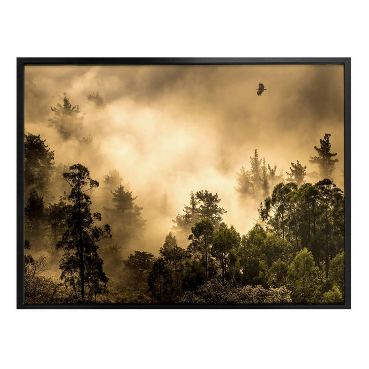 Poster Cuadrado - Clouds of Light - WA311521