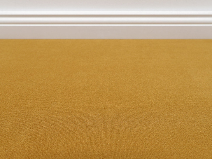 Vorwerk® Modena Teppichboden Meterware in 2g24 - TS546443