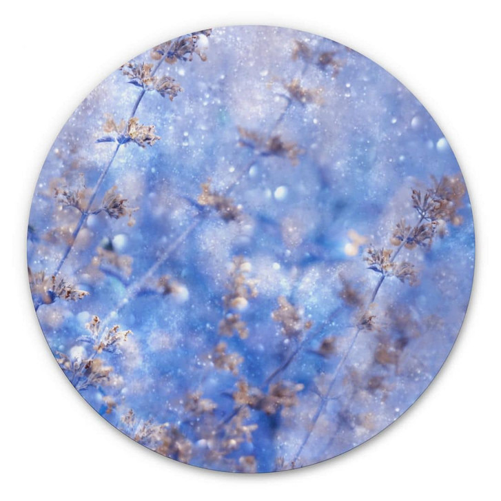 Alu-Dibond Devos - Früher Winter - Rund - WA319773