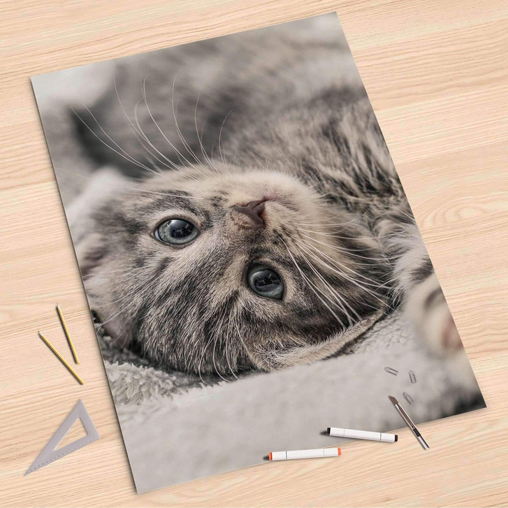 Folienbogen (80x120cm) - Kitty the Cat - CR107358