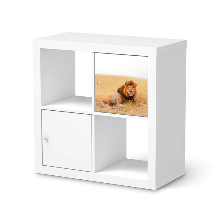 Klebefolie IKEA Expedit Regal Tür einzeln - Lion King - CR111252