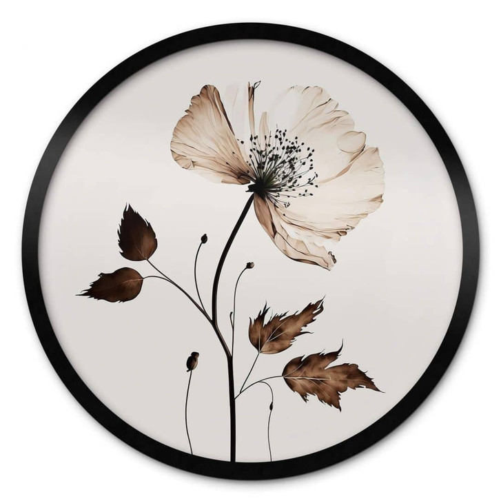 Poster Trockenblüte in Creme - Rund - Treechild - WA408218
