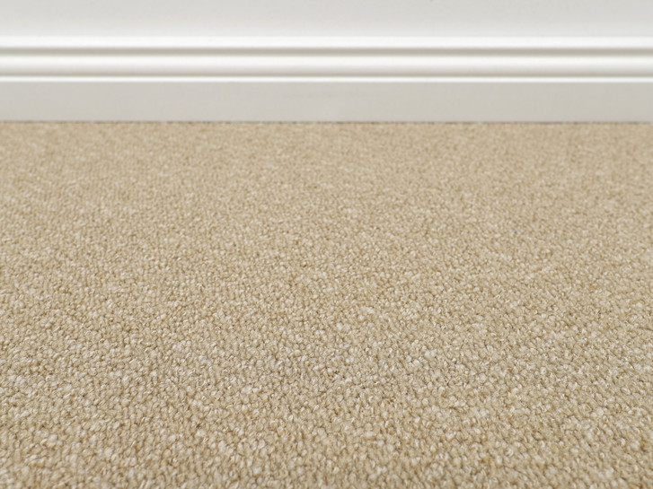 Vorwerk® Telma Teppichboden Meterware in 8l87 - TS546750