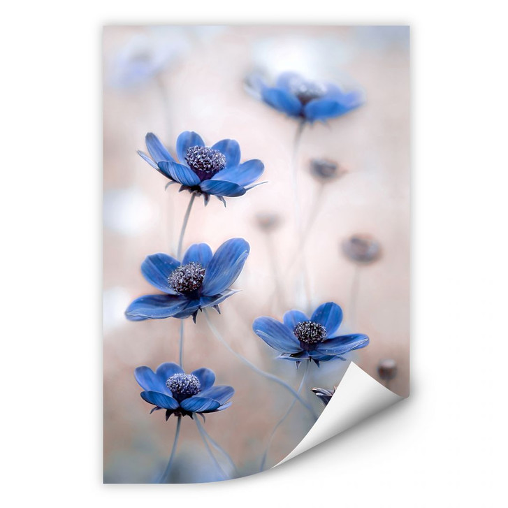 Wallprint Disher - Blue Cosmos - WA183211