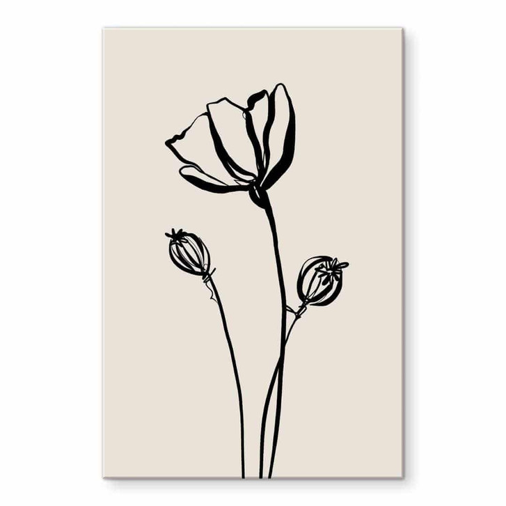 Acrylglasbild Line Art Mohnblume - Cats & Dotz - WA490788