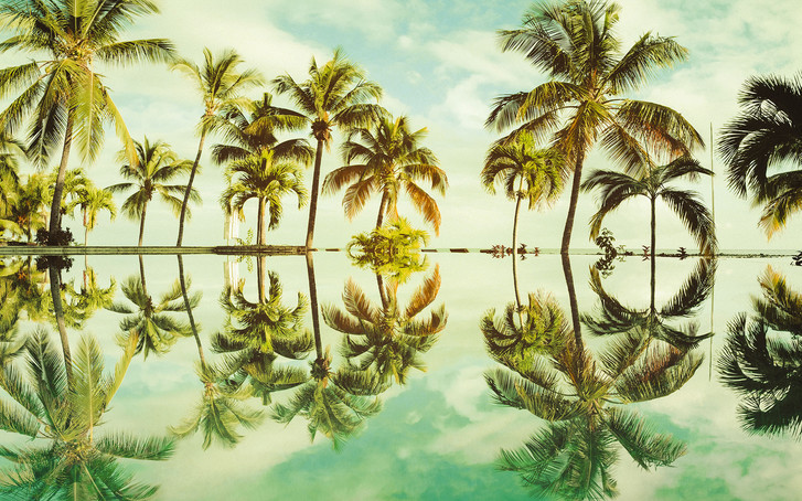 Digitaldrucktapete Key West - KOP012-VD4
