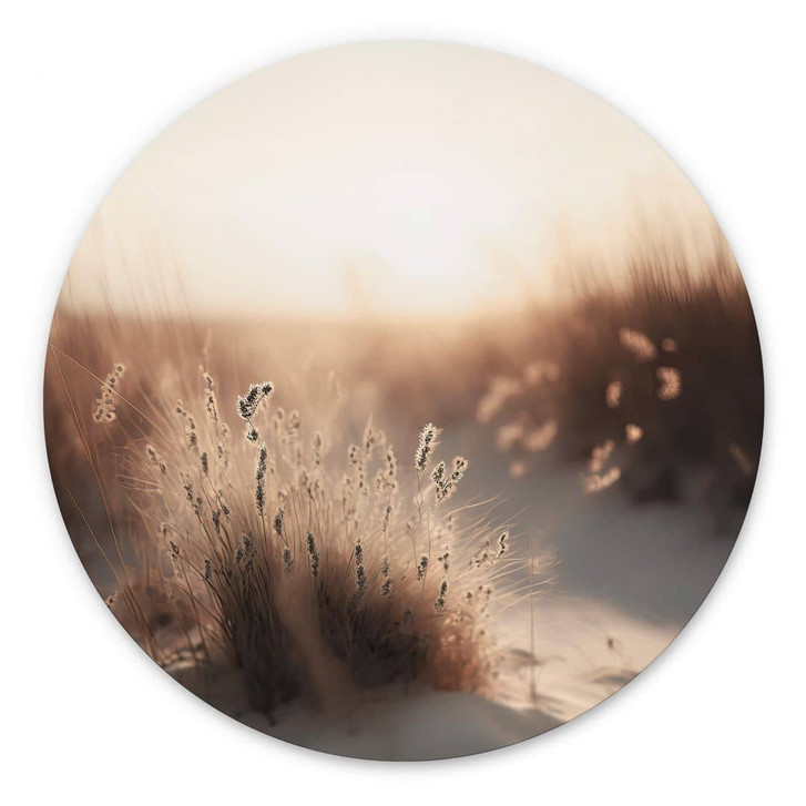 Rundes Wandbild Treechild - Sonnenuntergang über den Dünen - Alu-Dibond - WA394462