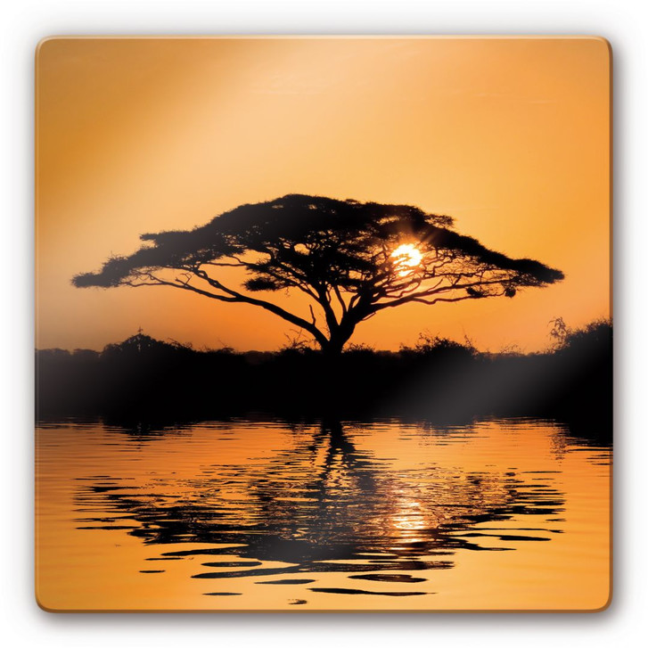 Glasbild Africa - WA120486