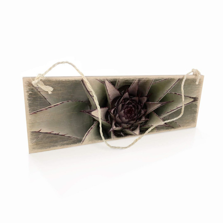 Holzschild Agave 01 - WA295710