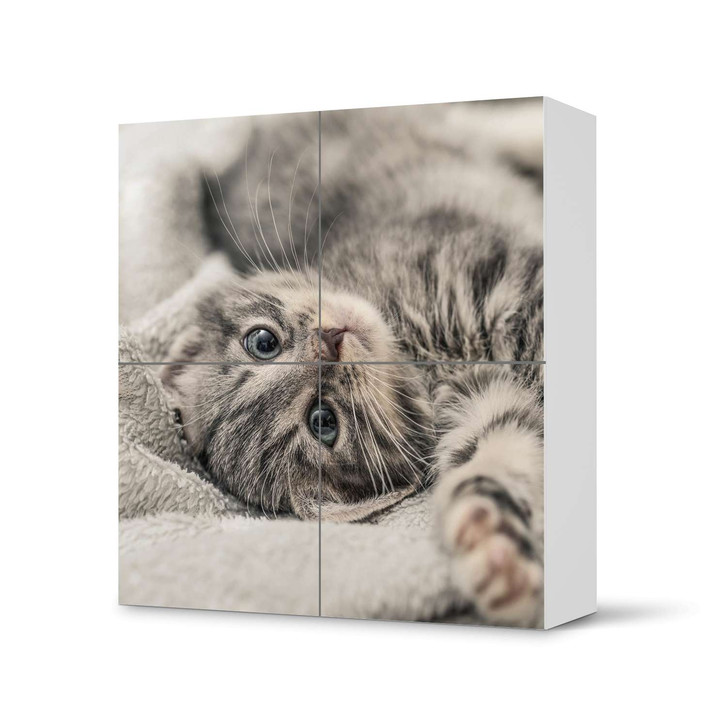 Klebefolie IKEA Besta Schrank 4 Türen - Kitty the Cat - CR110849