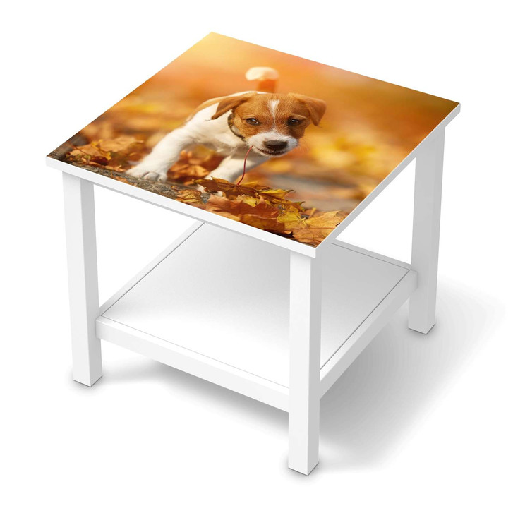 Möbel Klebefolie IKEA Hemnes Tisch 55x55cm - Jack the Puppy - CR113572