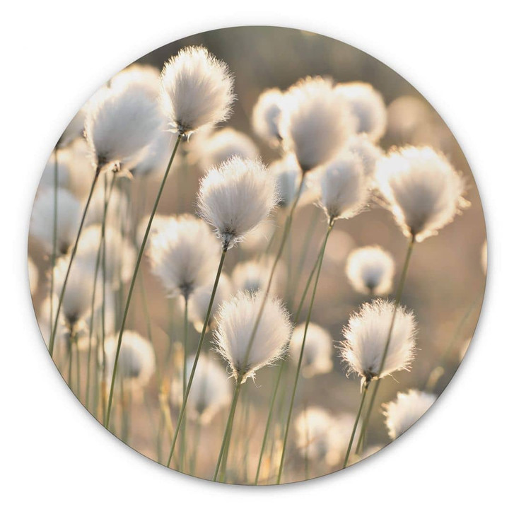 Alu-Dibond Delgado - Wiesenzauber - Rund - WA330623