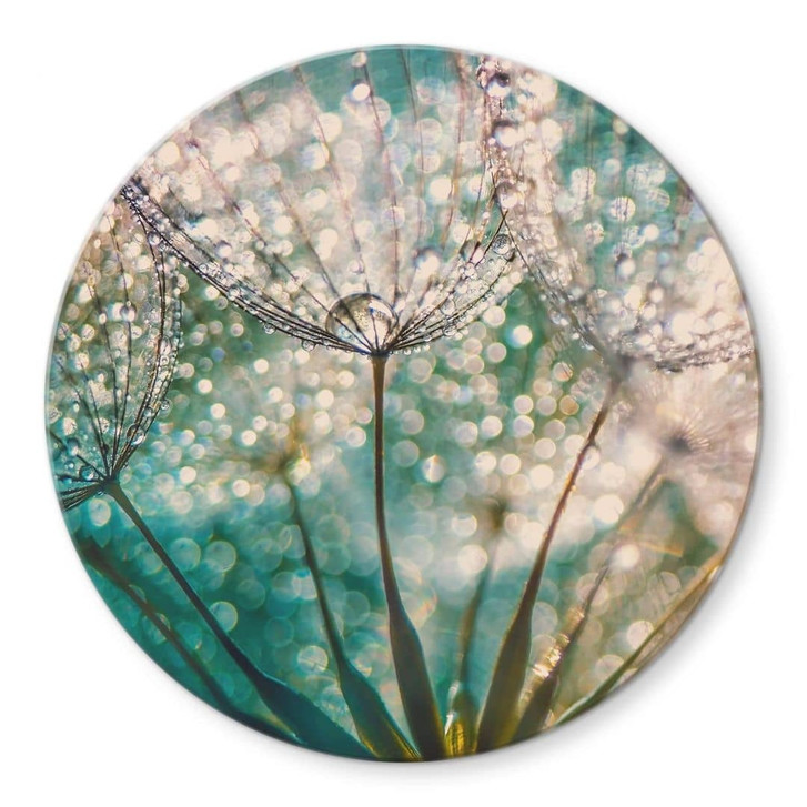 Glasbild Delgado - Funkelnde Pusteblume - Rund - WA332111