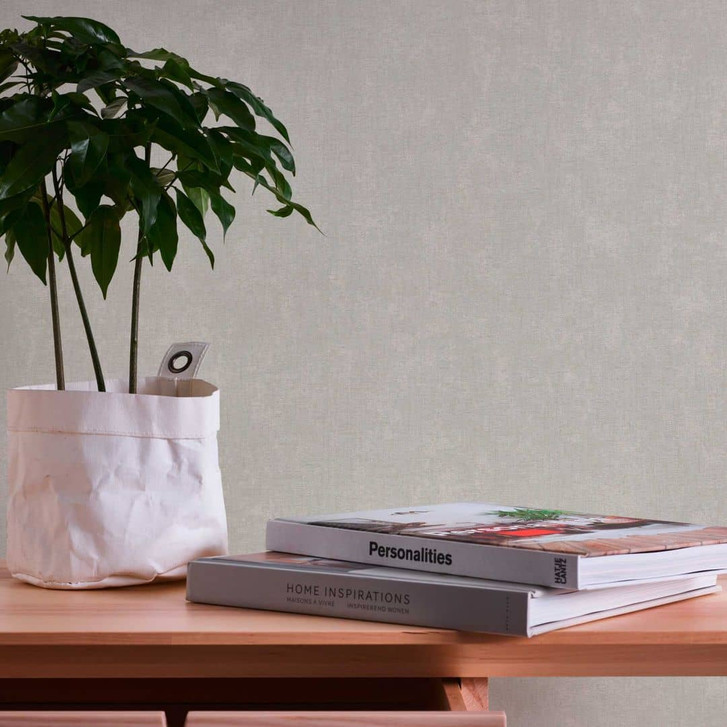 Hellgraue moderne Tapete einfarbig - Vliestapete für Wohnzimmer - WA396607