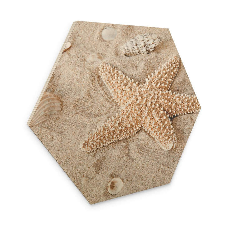 Hexagon Holzbild Sternfisch im goldenen Strand - WA354618