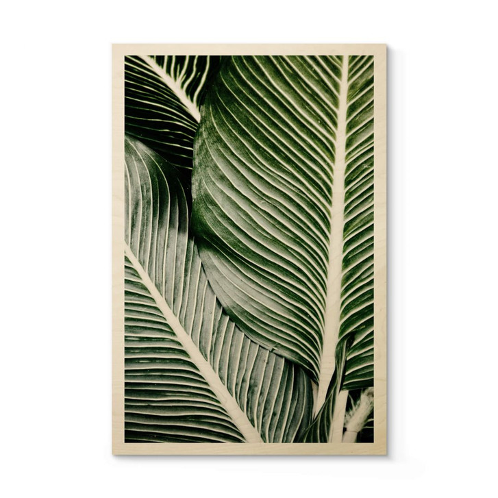 Holzposter Palmenblätter - WA300009