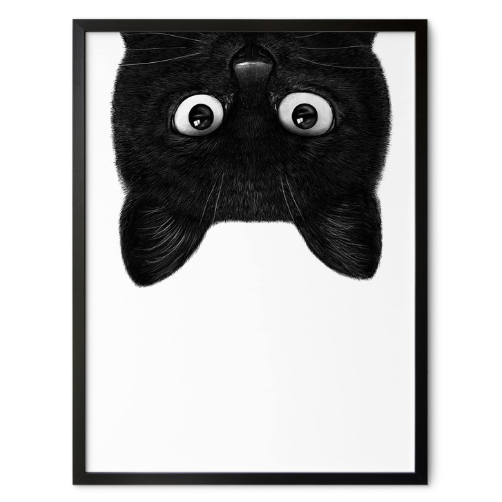 Poster Schwarze Katze kopfüber - Korenkova - WA512229