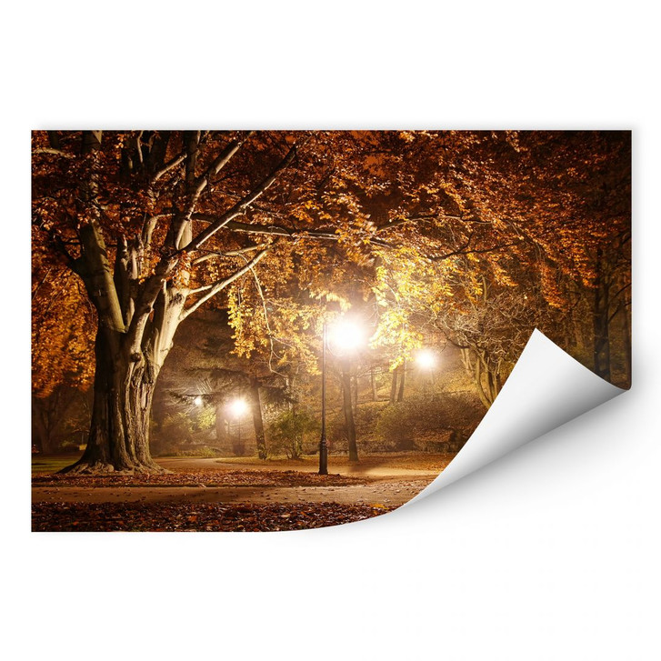 Wallprint Herbst im Park - WA184437