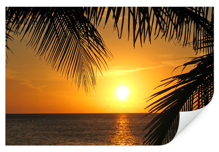 Wallprint Unter Palmen - WA190163