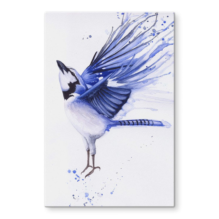 Glasbild Müller - Blaumeise - WA244999