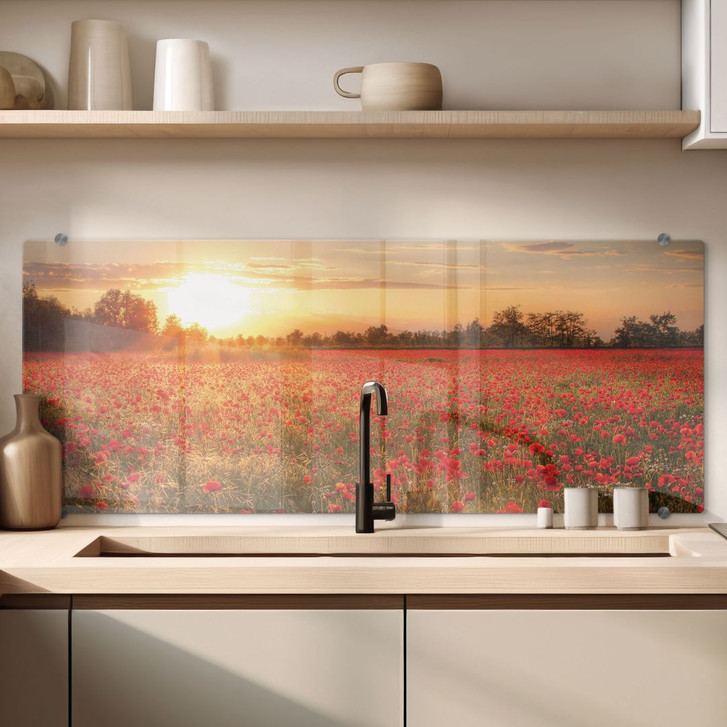 Spritzschutz Mohnfeld im Sonnenuntergang - Panorama - WA178985