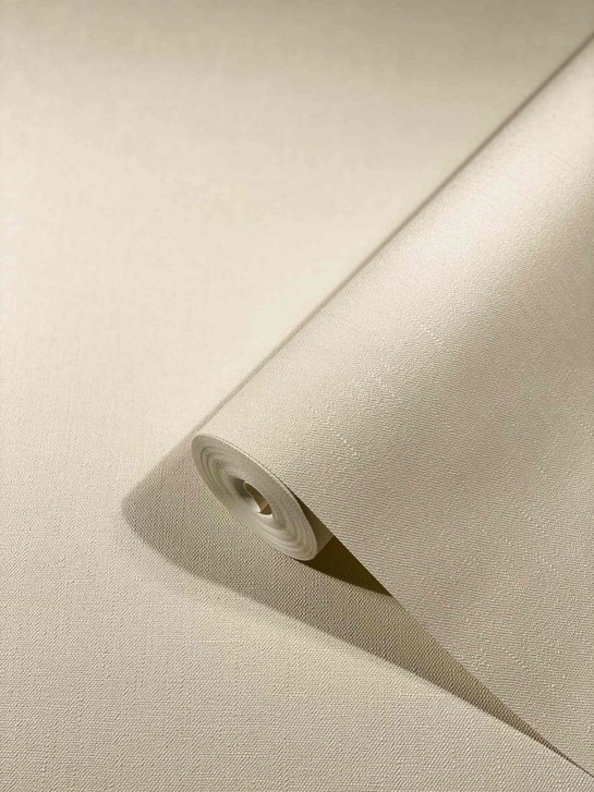 Tapete SCHÖNER-WOHNEN Vliestapete, Unitapete beige - WA450123