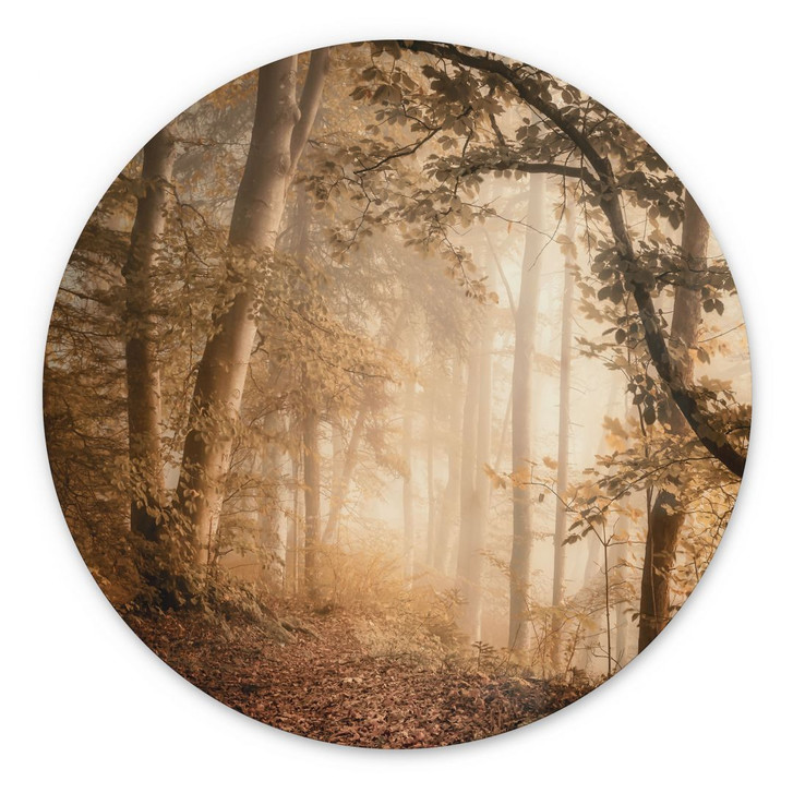 Wandbild Wald im morgendlichen Nebel - Maier - Alu-Dibond - Rund - WA394036
