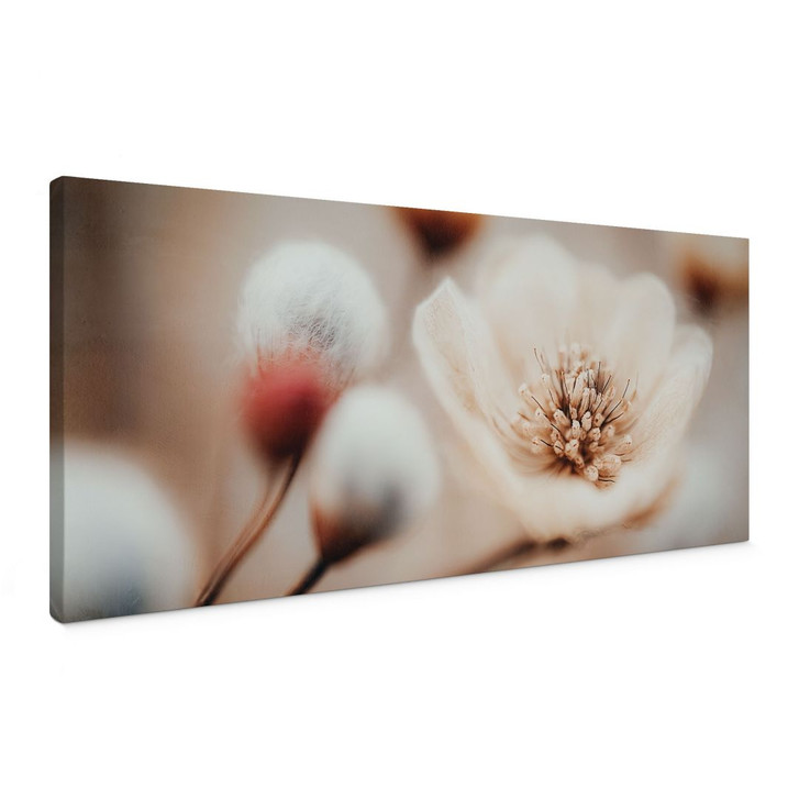 Blumen Leinwandbild Boho Blüte Soft Beige - Treechild - Panorama - WA496996