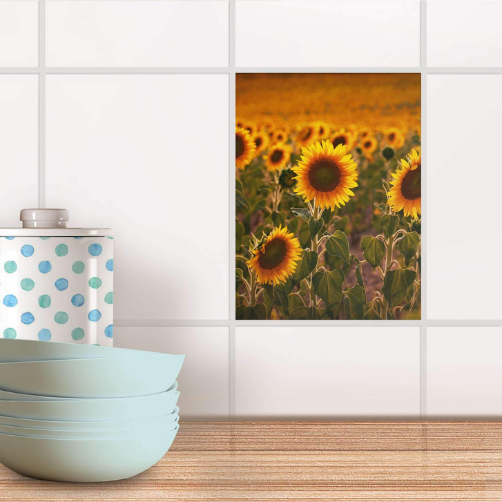 Fliesensticker - Sunflowers - CR105062