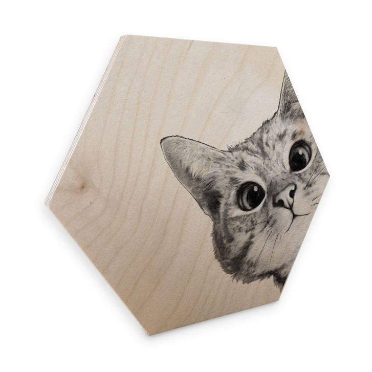 Hexagon - Holz Birke-Furnier Graves - Sneaky Cat - WA273978