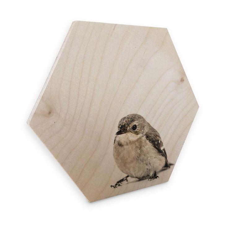 Hexagon - Holz Birke-Furnier - Kleiner Spatz - WA253280