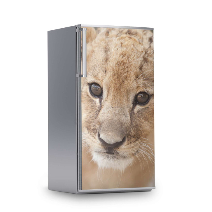 Kühlschrankfolie 60x120cm - Simba - CR112902
