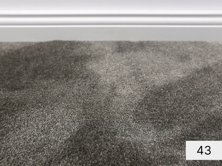 Obsession Velours Teppichboden Meterware in 43 - TS504202