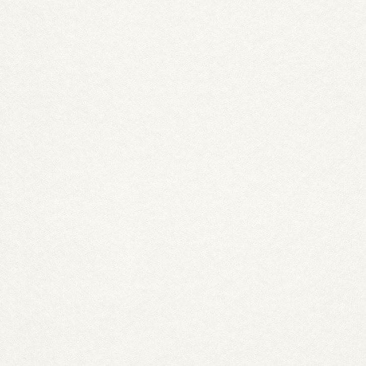 Rasch Vliestapete Makulaturvlies Brick Lane weiss - WA301466