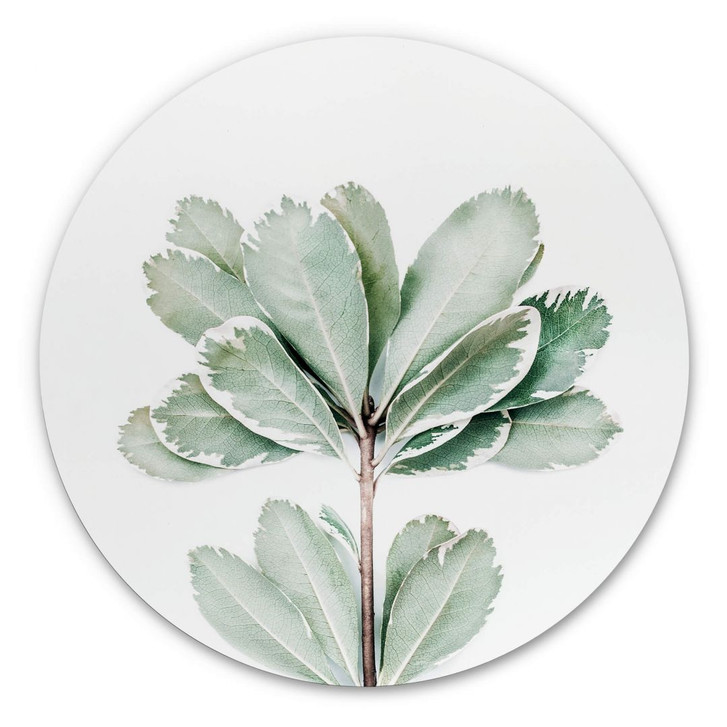 Alu-Dibond Sisi & Seb - Botanik - Rund - WA308391