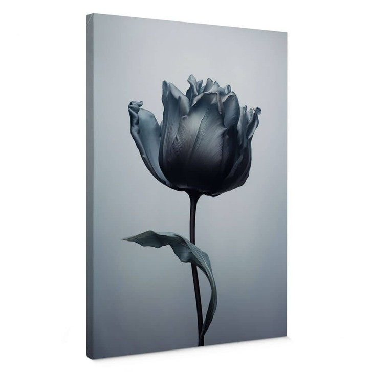 Leinwandbild Samtige Tulpe in Schwarz - Paksoylu - WA426354