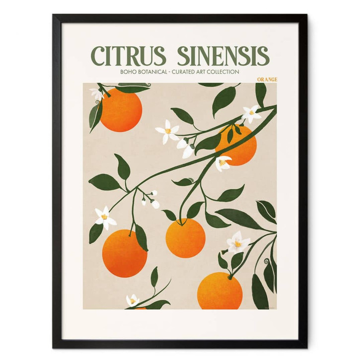 Poster Boho Orangenbaum - Citrus Sinensis - Tunaboylu - WA427319