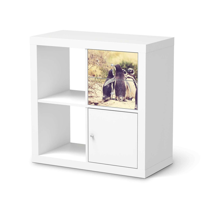 Möbelfolie IKEA IKEA Expedit Regal Schubladen - Pingu Friendship - CR115122