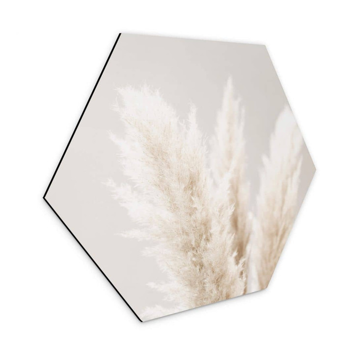 Hexagon - Alu-Dibond 1X Studio - Pampasgras - WA320658