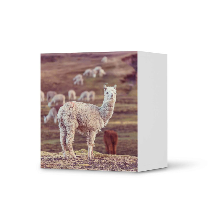 Klebefolie IKEA Besta Regal 1 Türe - Pako - CR109211