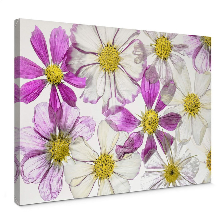 Leinwandbild Disher - Keeping Summer - WA362078