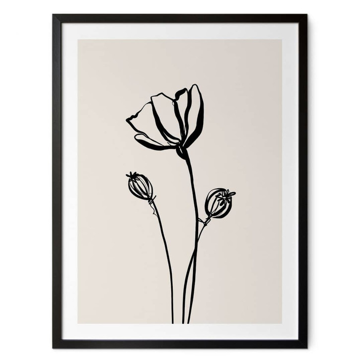 Poster Line Art Mohnblume - Cats & Dotz - WA498195