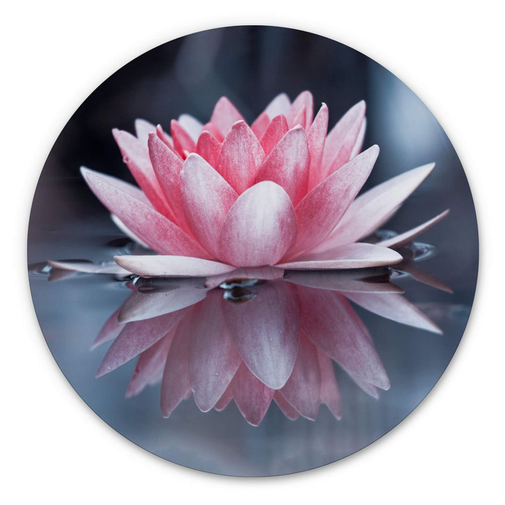 Alu-Dibond Bravin - Magie der Lotusblume - Rund - WA344722