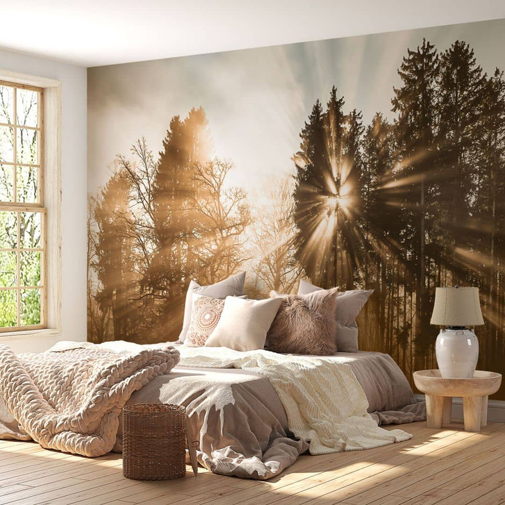 Fototapete Lichtstrahlen im Wald | Waldtapete fürs Schlafzimmer - Eisenmann - WA435354