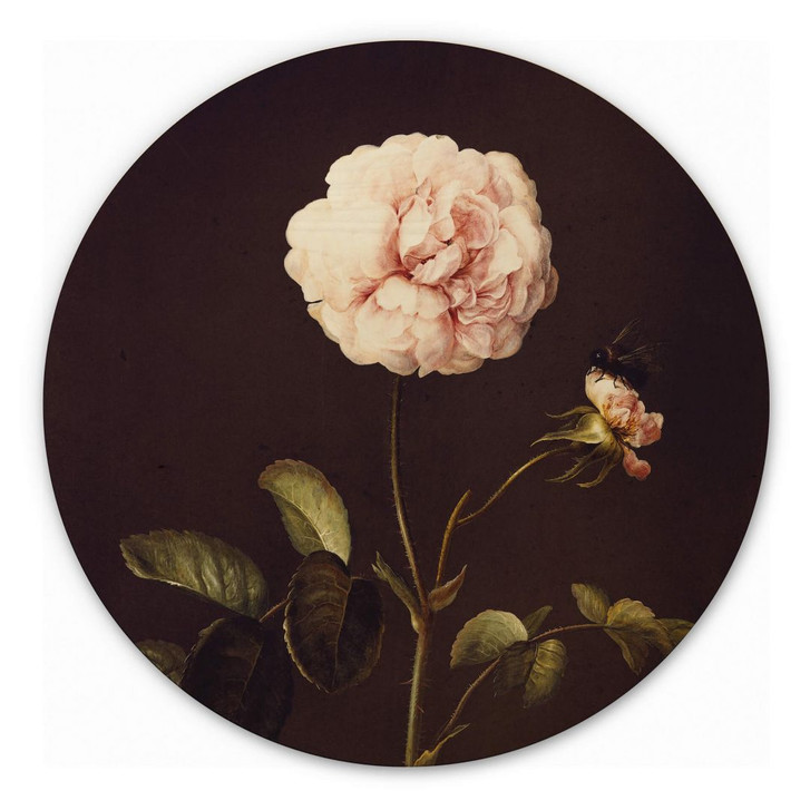 Holzbild Dietzsch - Essigrose mit Hummel - Rund - WA309631