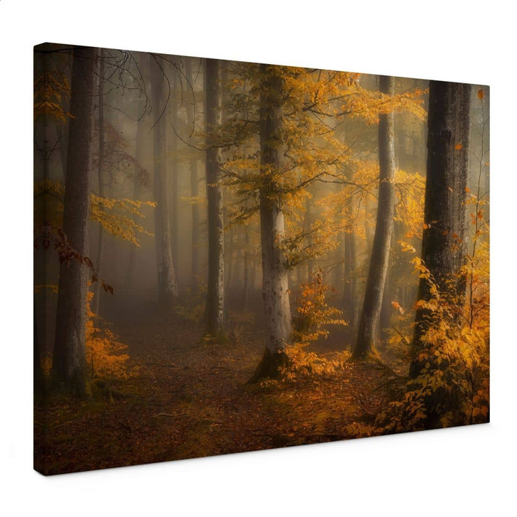 Leinwandbild Goldene Blätter im nebligen Wald - Maier - WA444006